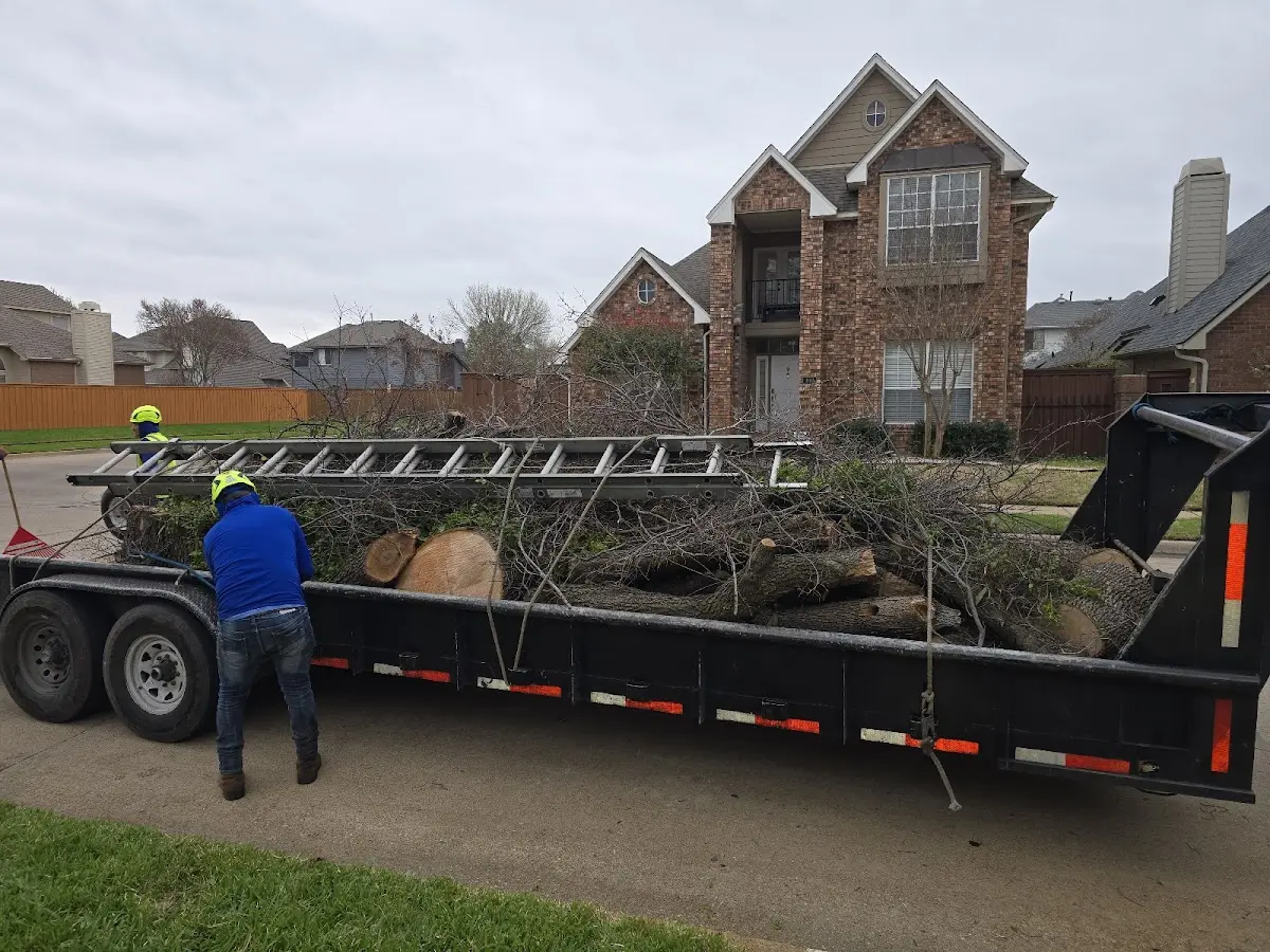 Expert Tree Removal with proper safety equipment in Chouteau